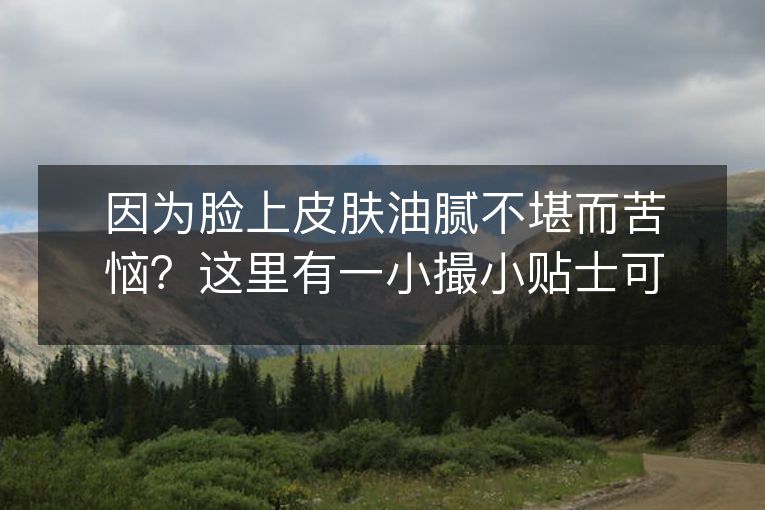 因为脸上皮肤油腻不堪而苦恼?这里有一小撮小贴士可以帮到你! 因为脸上皮肤油腻不堪而苦恼?这里有一小撮小贴士可以帮到你!